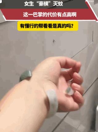 这下亏大了！河北一女子在家灭蚊，见其停在墙上，瞅准时机猛然一掌！蚊子瞬间毙命，可