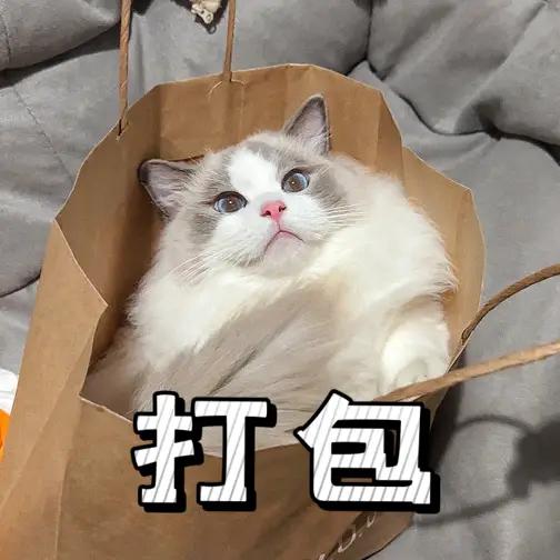 35满满一盒，打包回家够一家三口，美美吃一顿了。