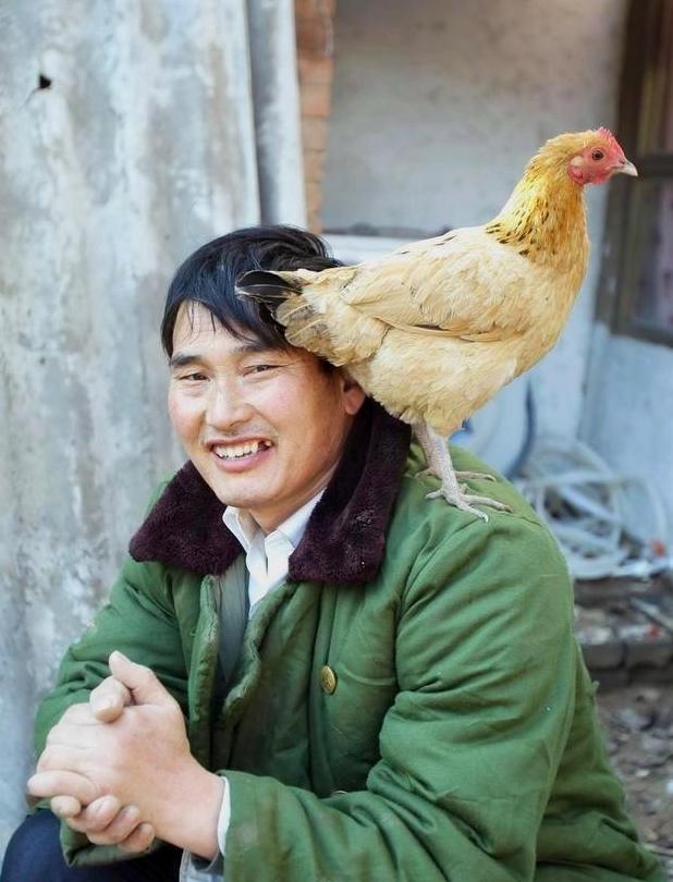 大衣哥三首歌10万元，这让大学教授们情何以堪？
 
最近，大衣哥再度出圈，日程满