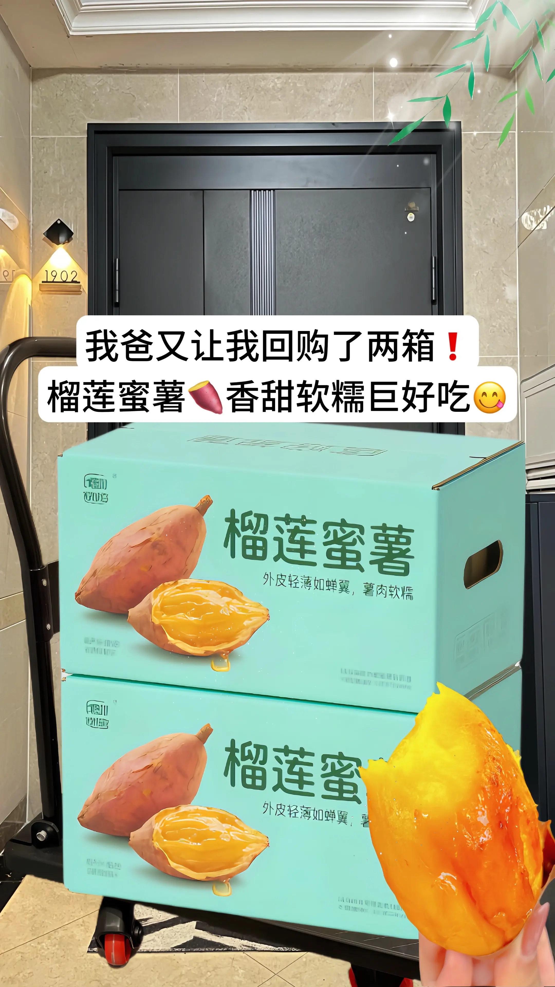 像榴莲一样蜜甜的红薯你吃过吗^^它就是来自广西的榴莲蜜薯！爱吃红薯的看...