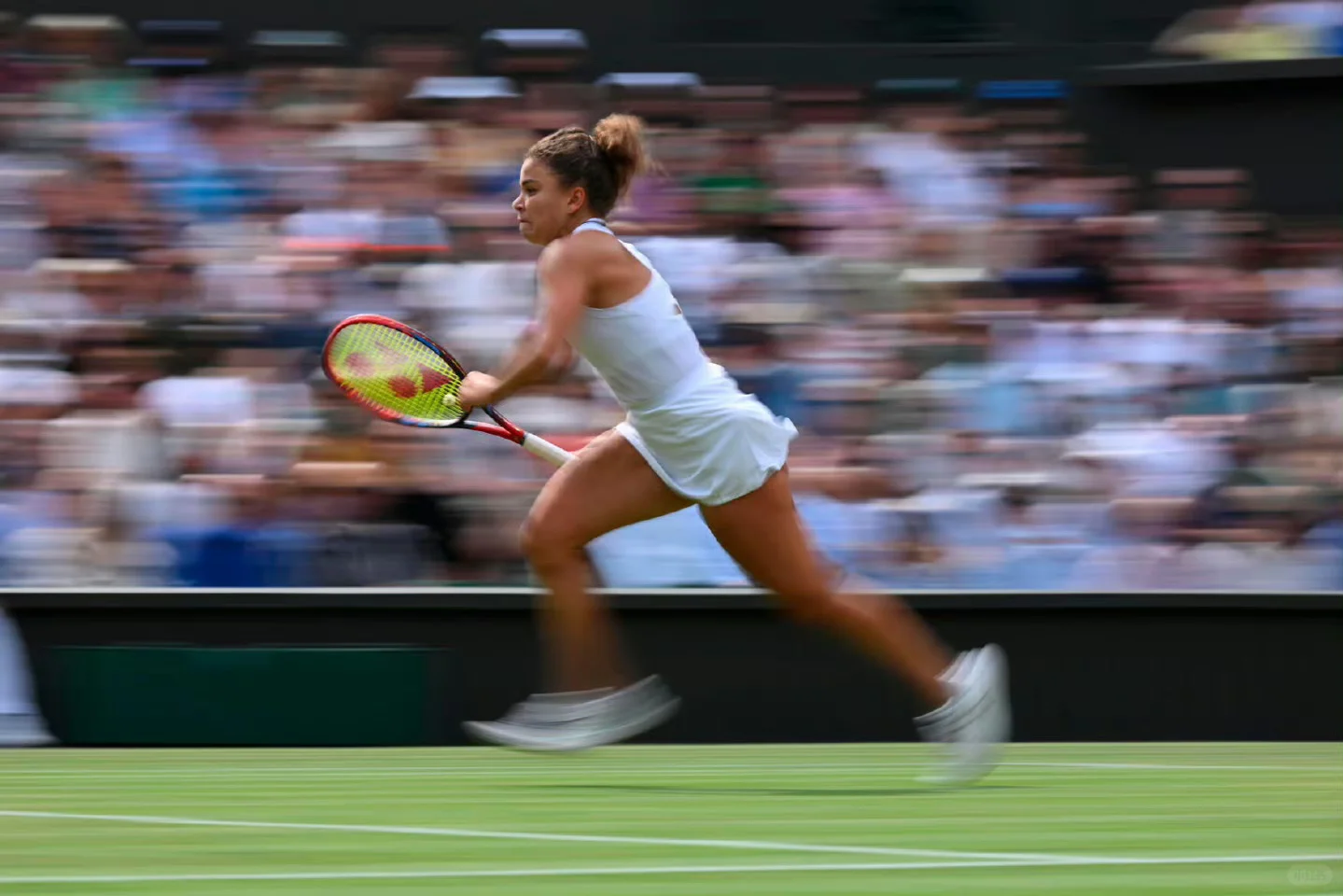 【温网速递】风一样的保总美图奉上