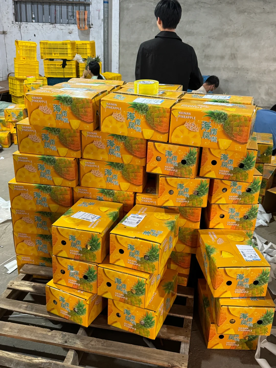 海南凤梨季火爆来袭，最近反馈爆表！