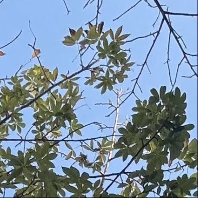 人生的路经历过，才知道有短有长；岁月，在无憾中微笑，才美丽；回过头，想着明天抱一