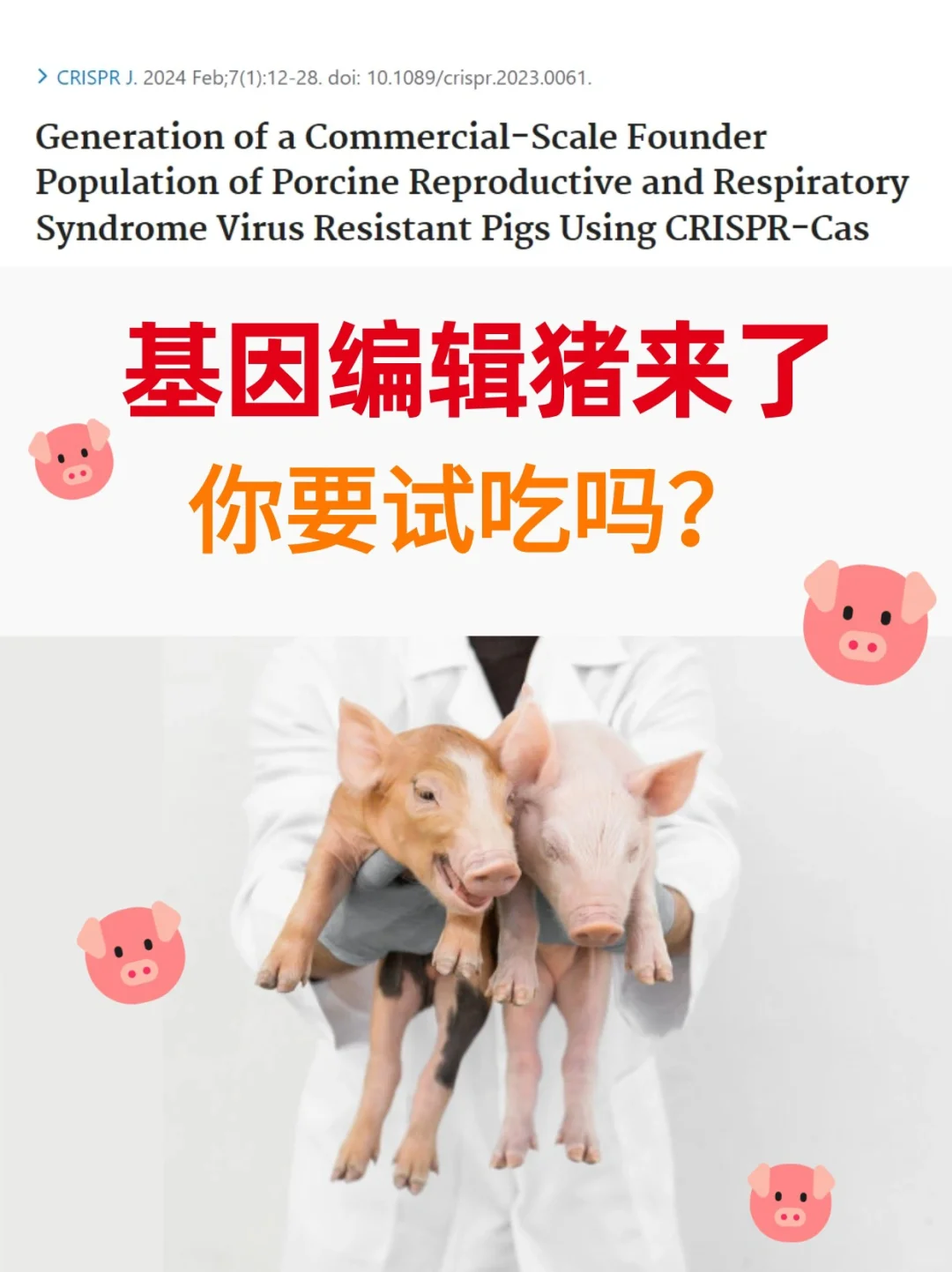 基因编辑猪🐷来了，你要试吃吗？