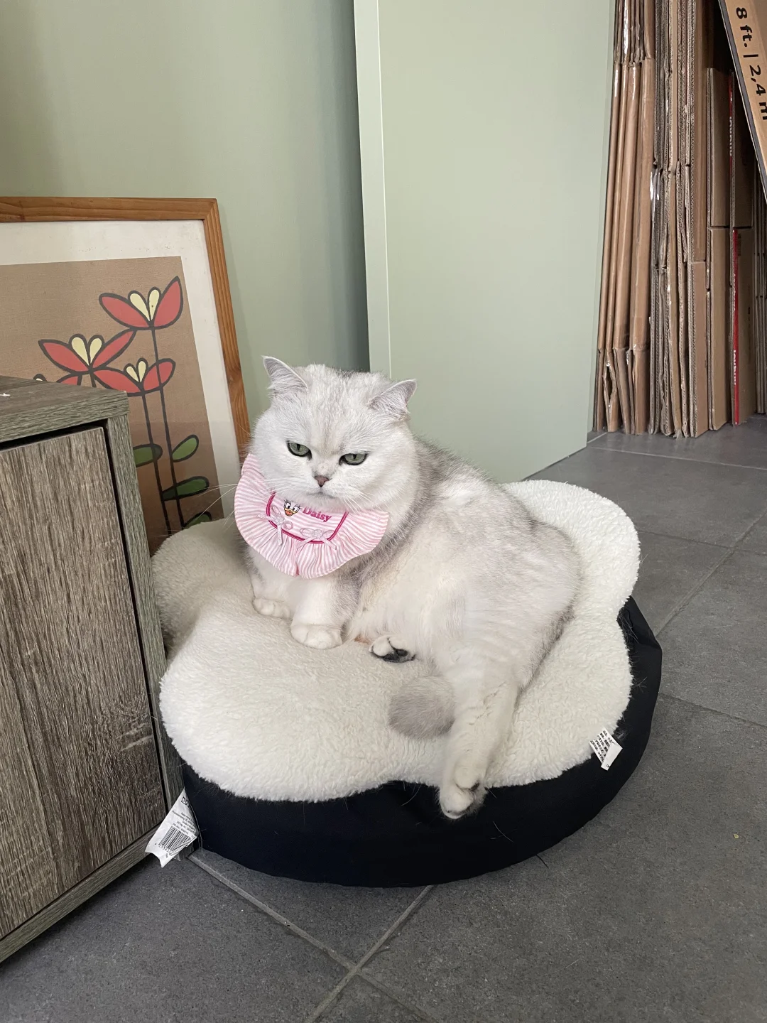 孩子老把脚这样绷着