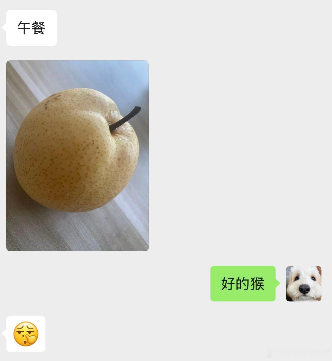我甚至怀疑带了个猴学员🐒午餐就一个梨猴子也得造反吧 