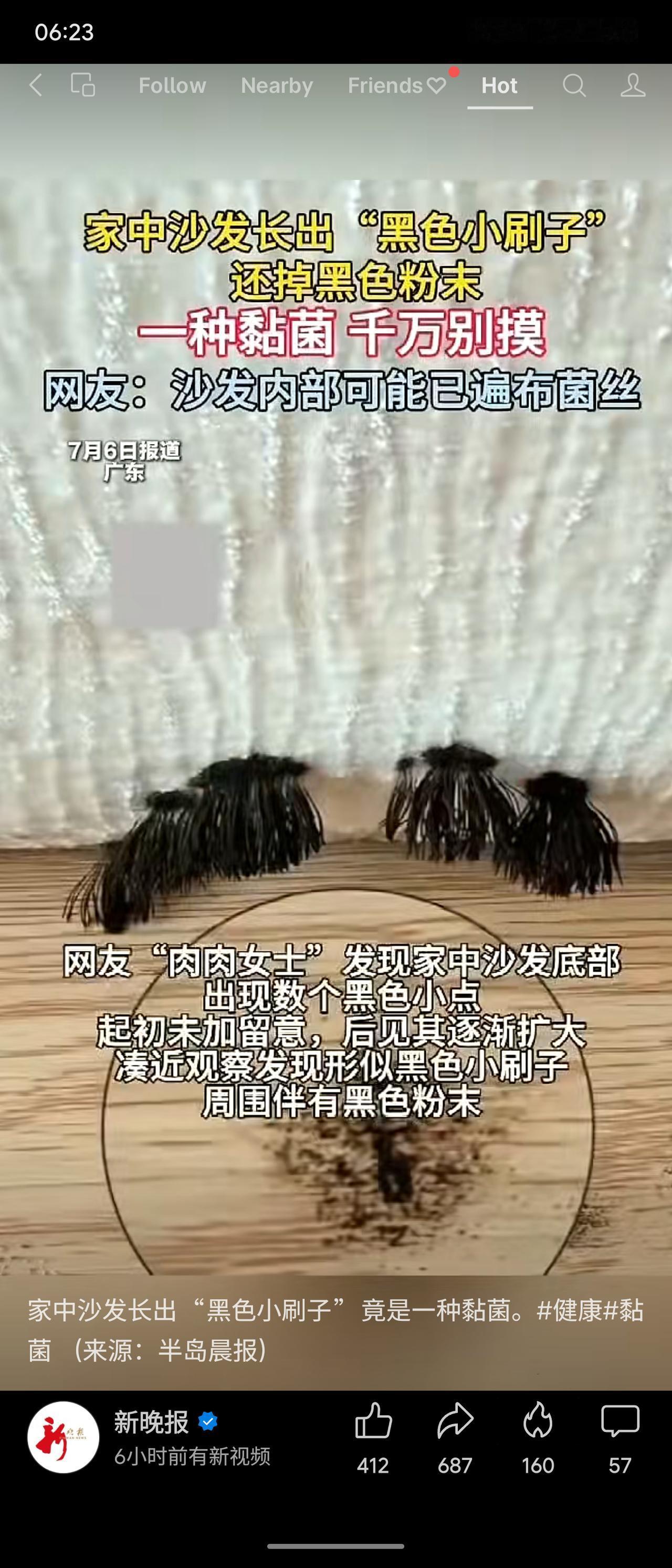 广东网友“肉肉女士”发现家中沙发底部出现黑色小点，后长成“黑色小刷子”并掉落粉末