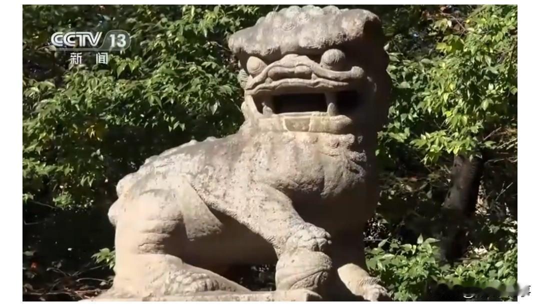 近日，由中国学者编纂的《唐鸿胪井碑档案文献总汇》正式发布，为唐鸿胪井碑当年被日本