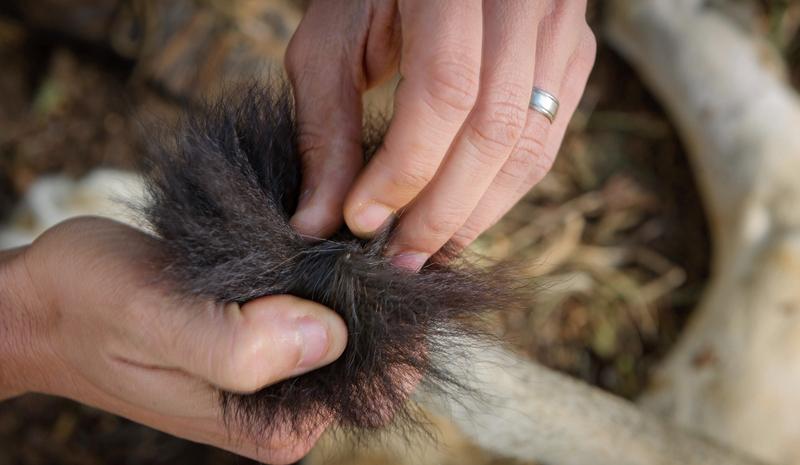 江苏一男子分享妻子买了15双一样的勃肯鞋，把这些鞋集中摆放，场面相当壮观。男子还
