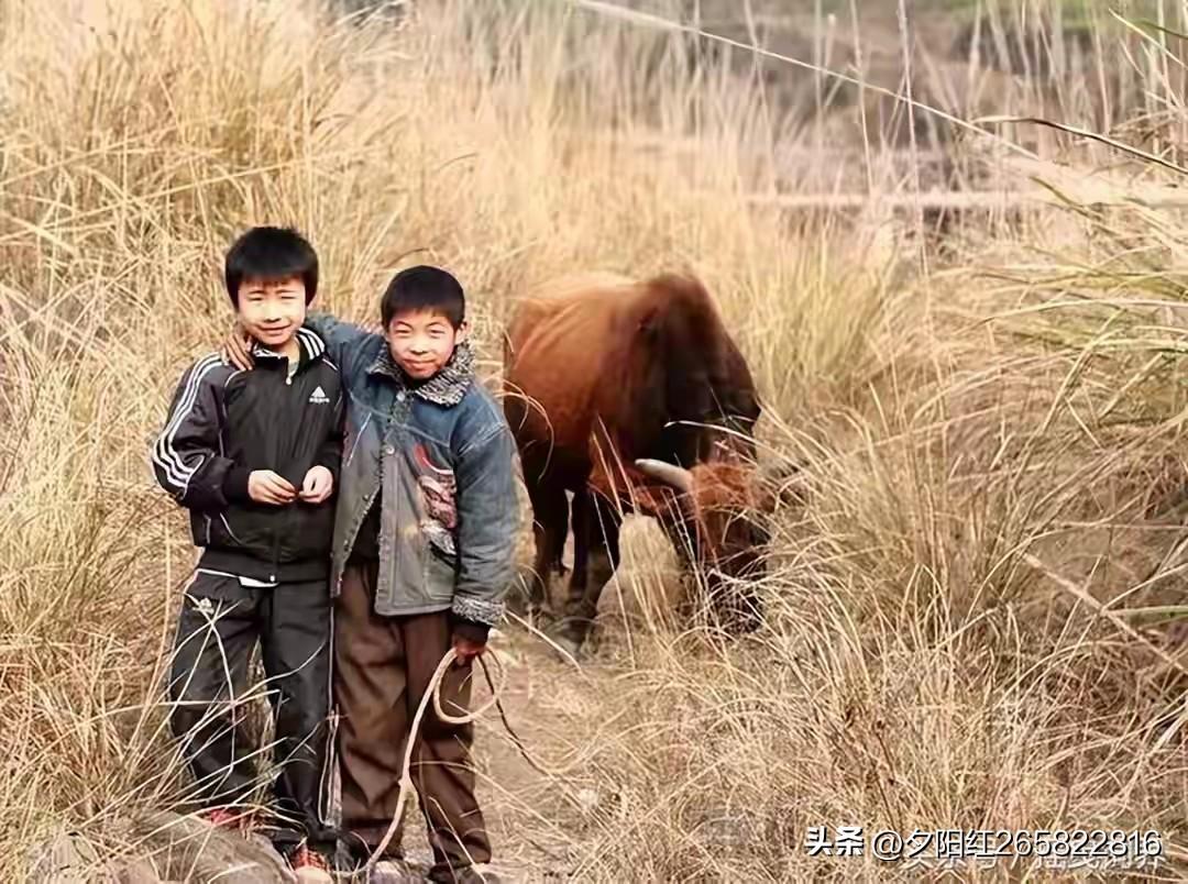 儿子真的将来养老,传宗接代吗? 生儿子真能养老、传宗接代吗
？传统习俗，养儿子就