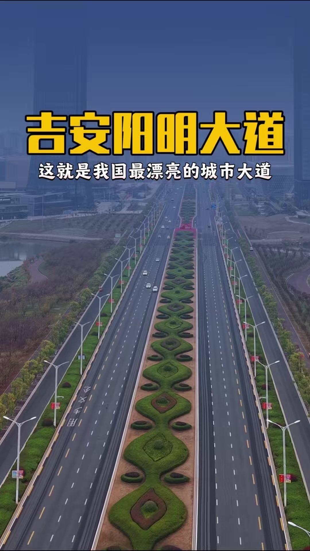 双向8车道如画卷展开，整条路闪耀如艺术品。光洁宽阔的路面配上绿植点缀，行走其间仿