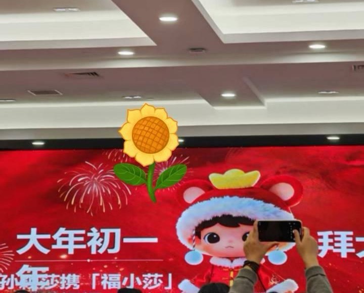 如果大年初一拥有不了这个顶着金元宝的福小莎，我将在肯德基门前嚎啕大哭