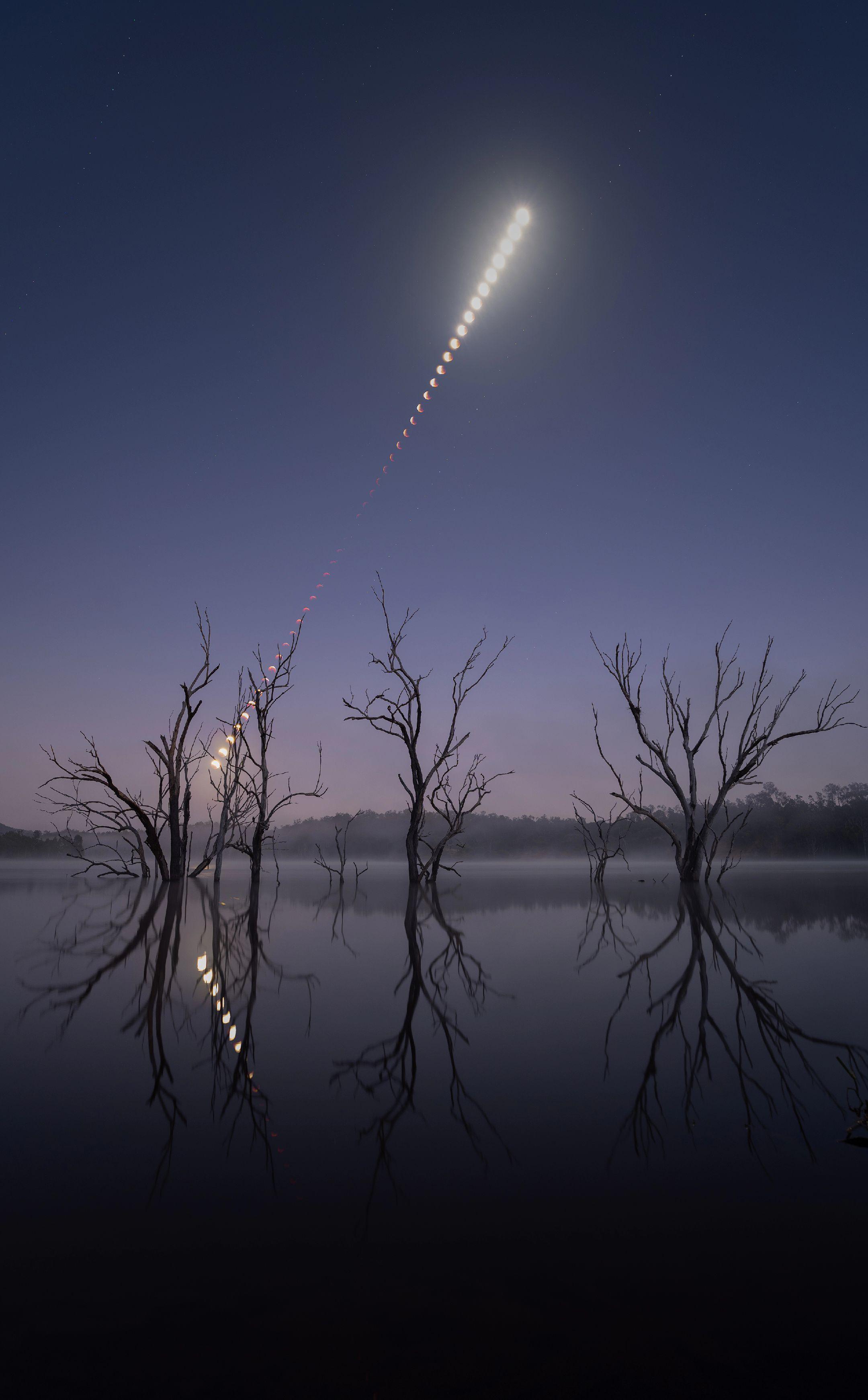 来看看南半球9.8的月全食吧。澳大利亚会比国内天亮早几个小时所以没法拍...