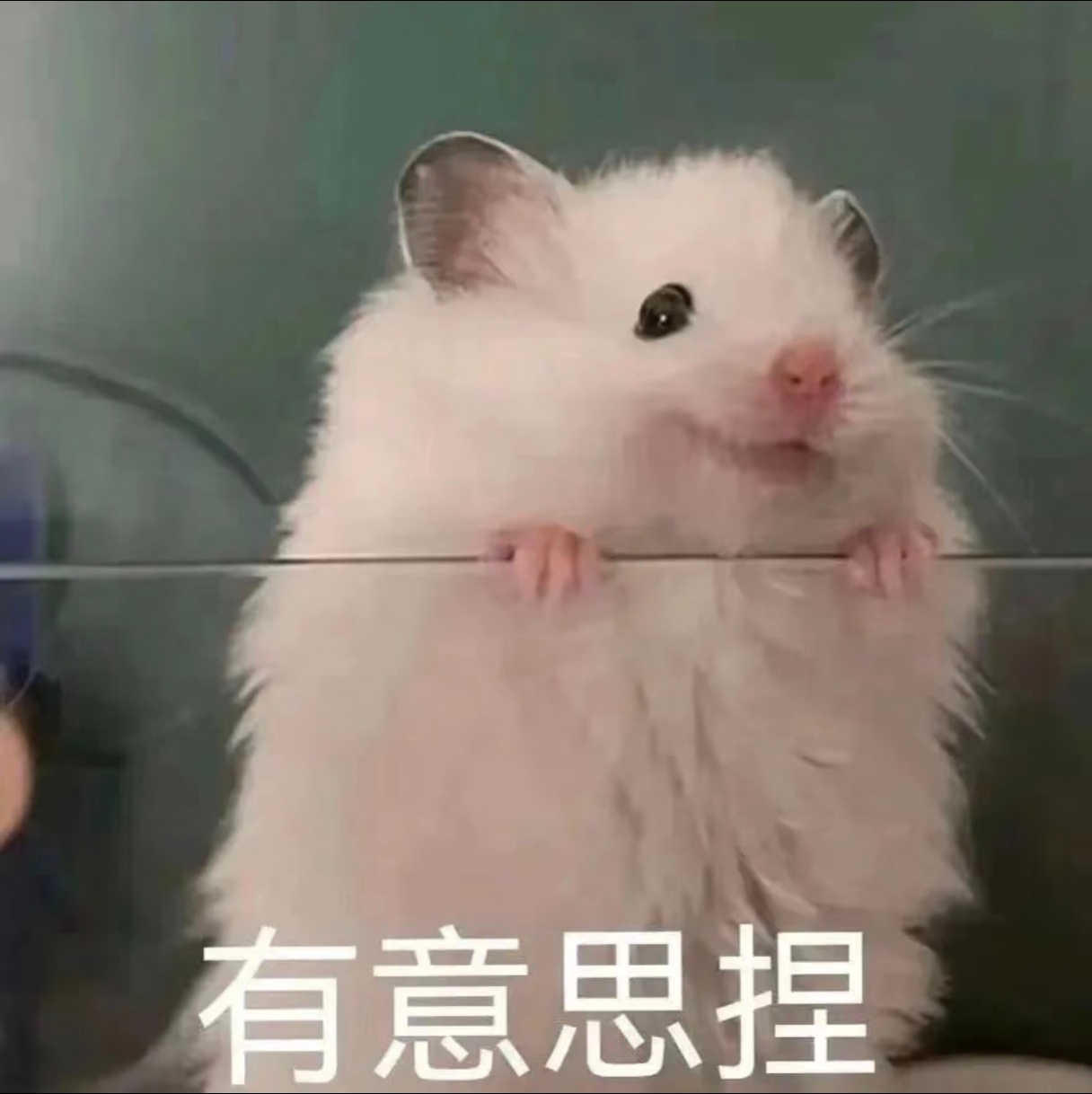 如何更快发送微信消息这又是什么新大陆，我也要开始over  over了[笑而不语