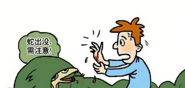 蛇为啥总让人心生畏惧？
       蛇总能让人从心底发怵。多数蛇力气小、体型不