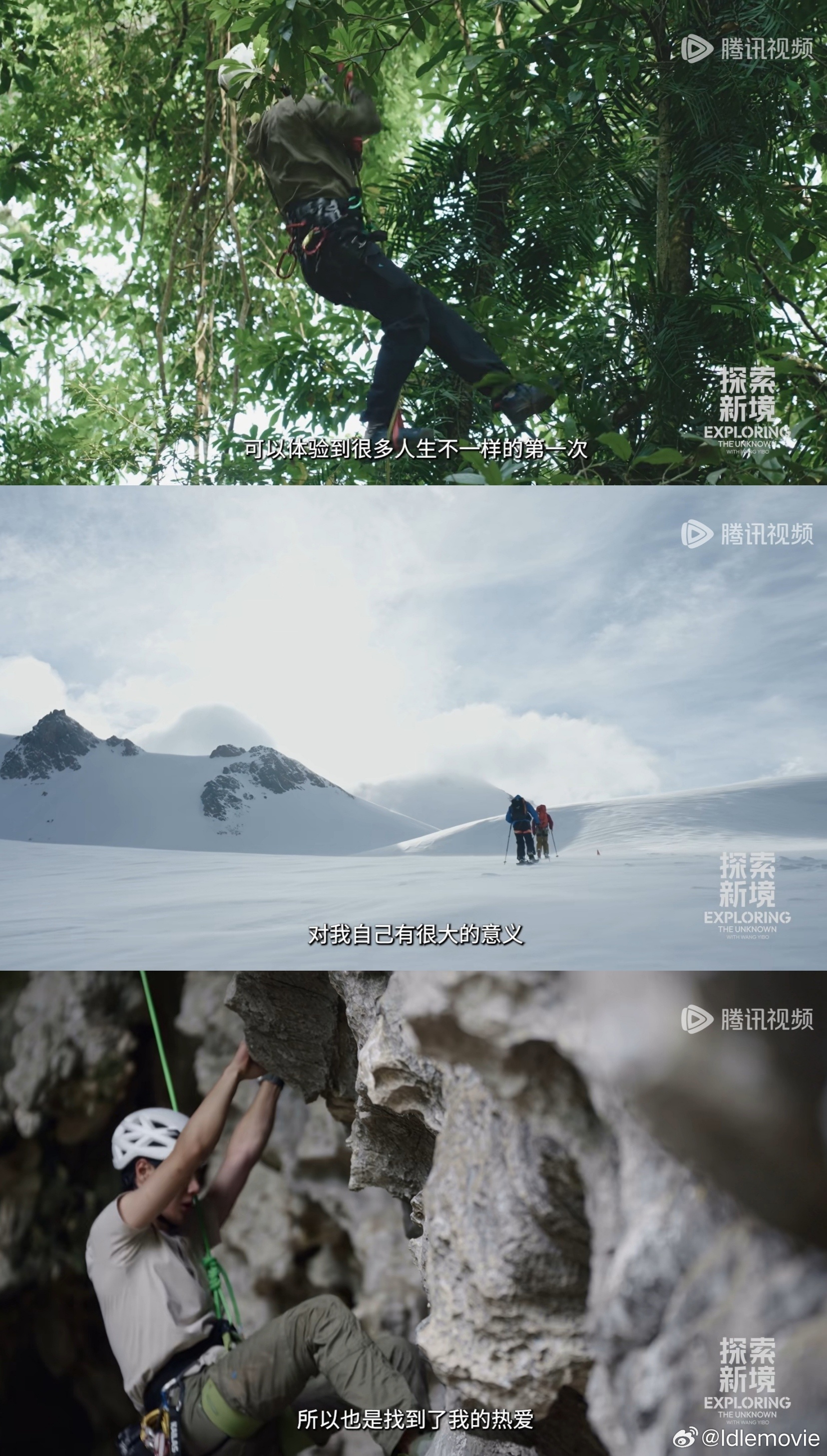 《向岩而生》，生活是这样子，不如诗，转身就会撞到现实里的刺。但新境即心境，很多时