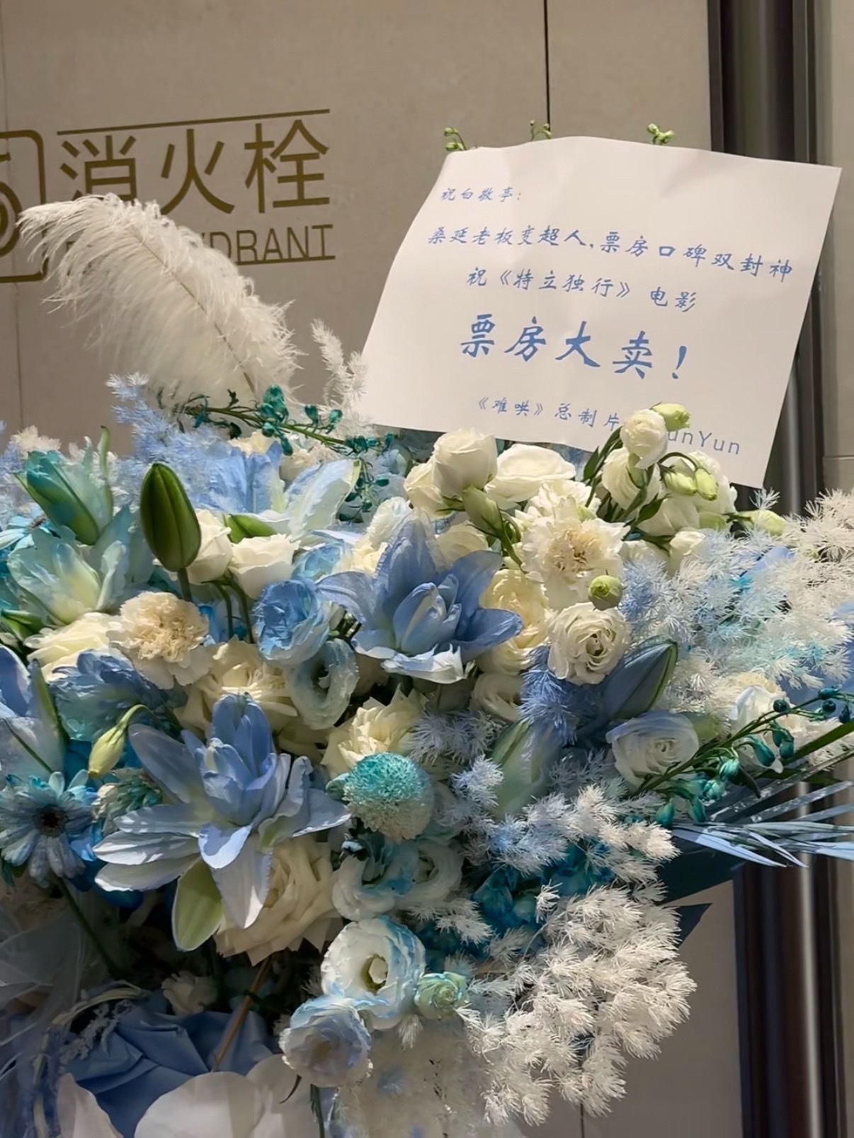 《难哄》总制片人给白敬亭电影《特立独行》送花篮了难哄总制片人给白敬亭电影送花篮难