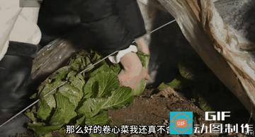 这个韩国女博主自称韩国李子柒。

她模仿李子柒的手法去拍摄，希望自己也能像李子柒