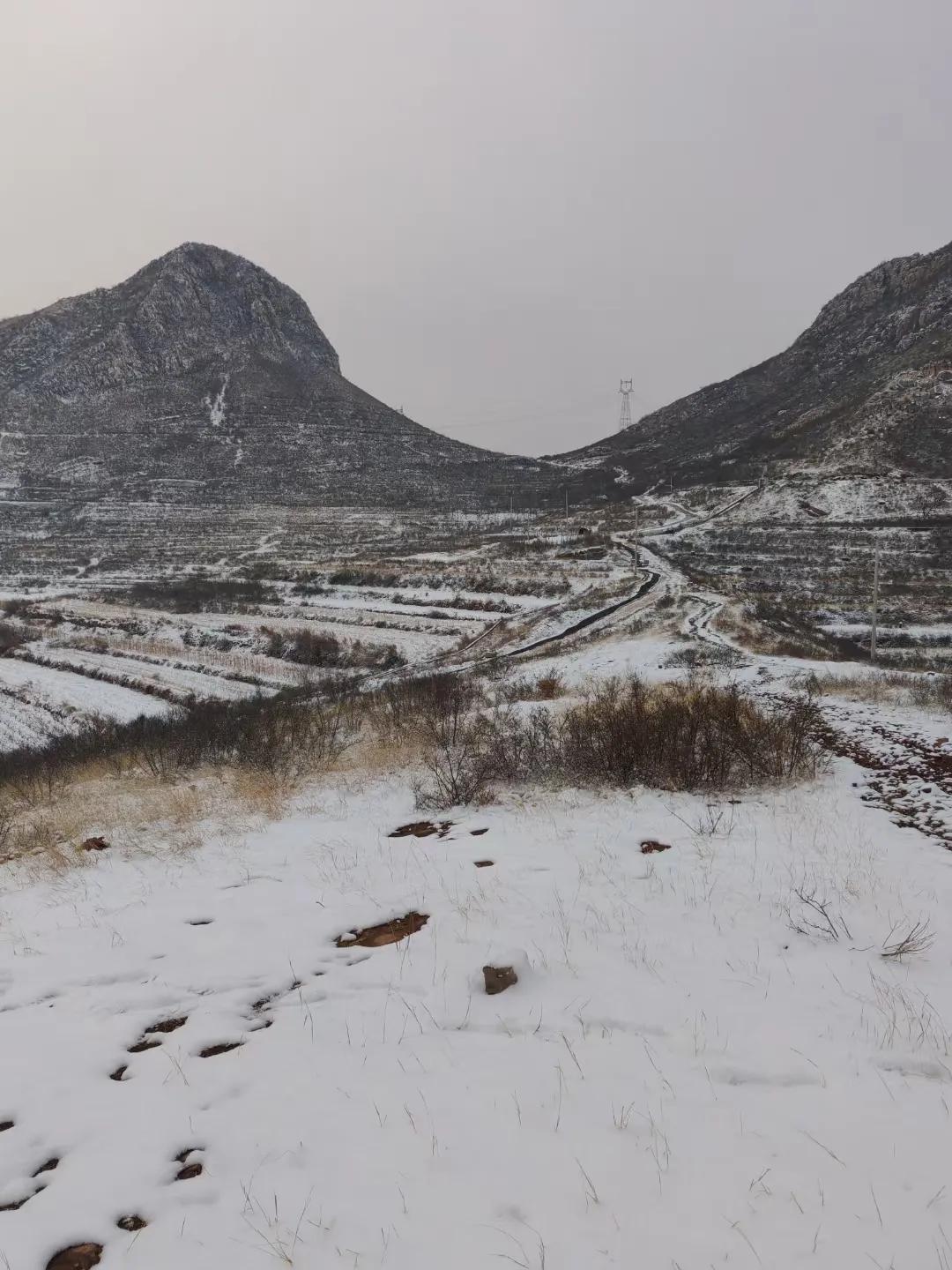 墙角红梅露颜新
文/冰笑
昨夜飞雪报迎春，
雪变雨水润山村。
冬麦起身不用浇，