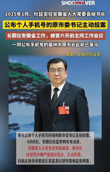 公布个人手机号的原市委书记主动投案，说的是安徽省人大常委会党组成员、秘书长杜延安