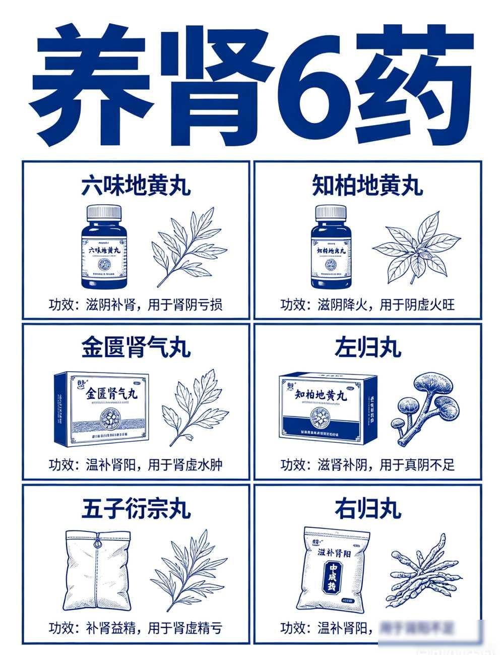 五脏保养别再乱吃药，这些中成药可能你都用错了？中医专家给出6个关键提示

最近和
