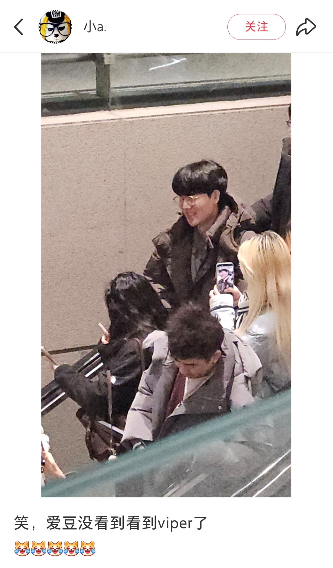 Viper到上海啦2025lpl英雄联盟