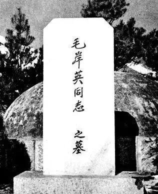 1955年，中央派人前往 朝鲜 挖毛岸英坟墓，可当大家刚开始挖，就突然跑过来一名