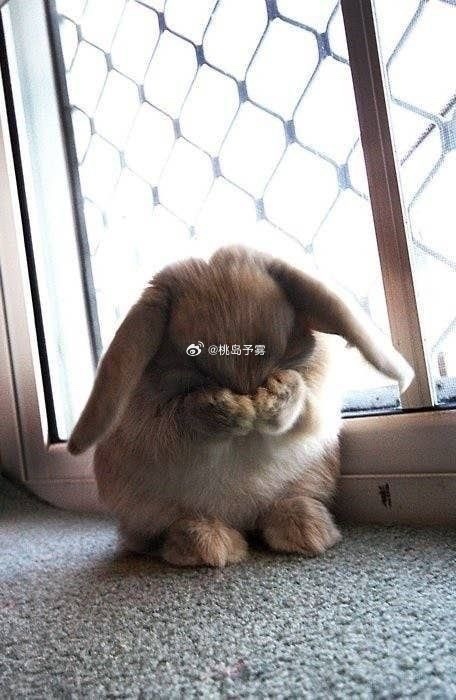 事后听到邵群对自己赞不绝口的小程秀belike 