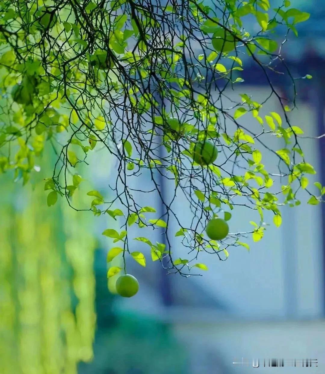 什么是格局？

心中有事，还能若无其事，便是格局。
心中有事，装作若无其事，便是