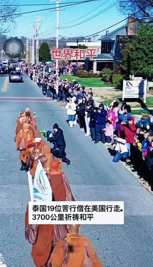 近日一段视频在网上传的很火，
19位亚洲苦行僧与一只小狗，
用120天，
赤足徒