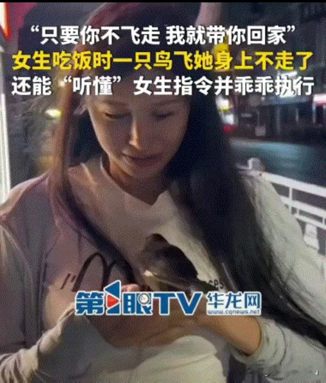 万万没有想到，江西修水县，一女子和朋友一起出去吃饭，不料吃饭之时，一只鸟突然飞到