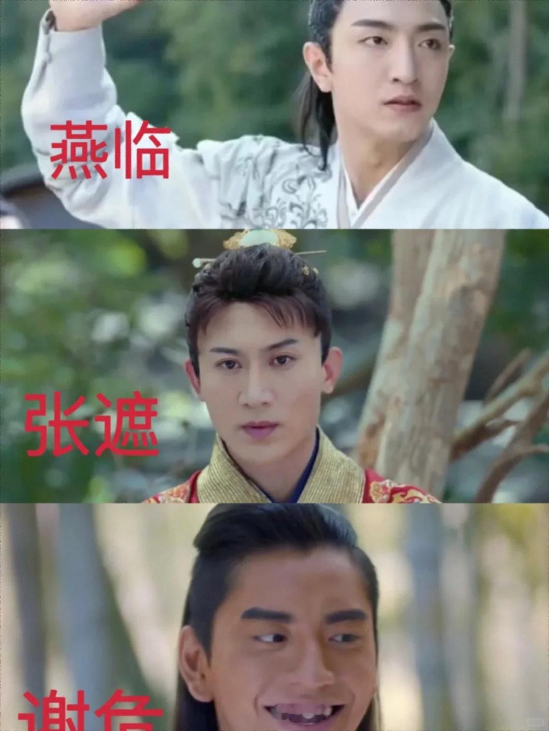 《宁安如梦 》不考虑样子，燕临张遮谢危，你怎么选？如果他们长这样，你怎么选？真心