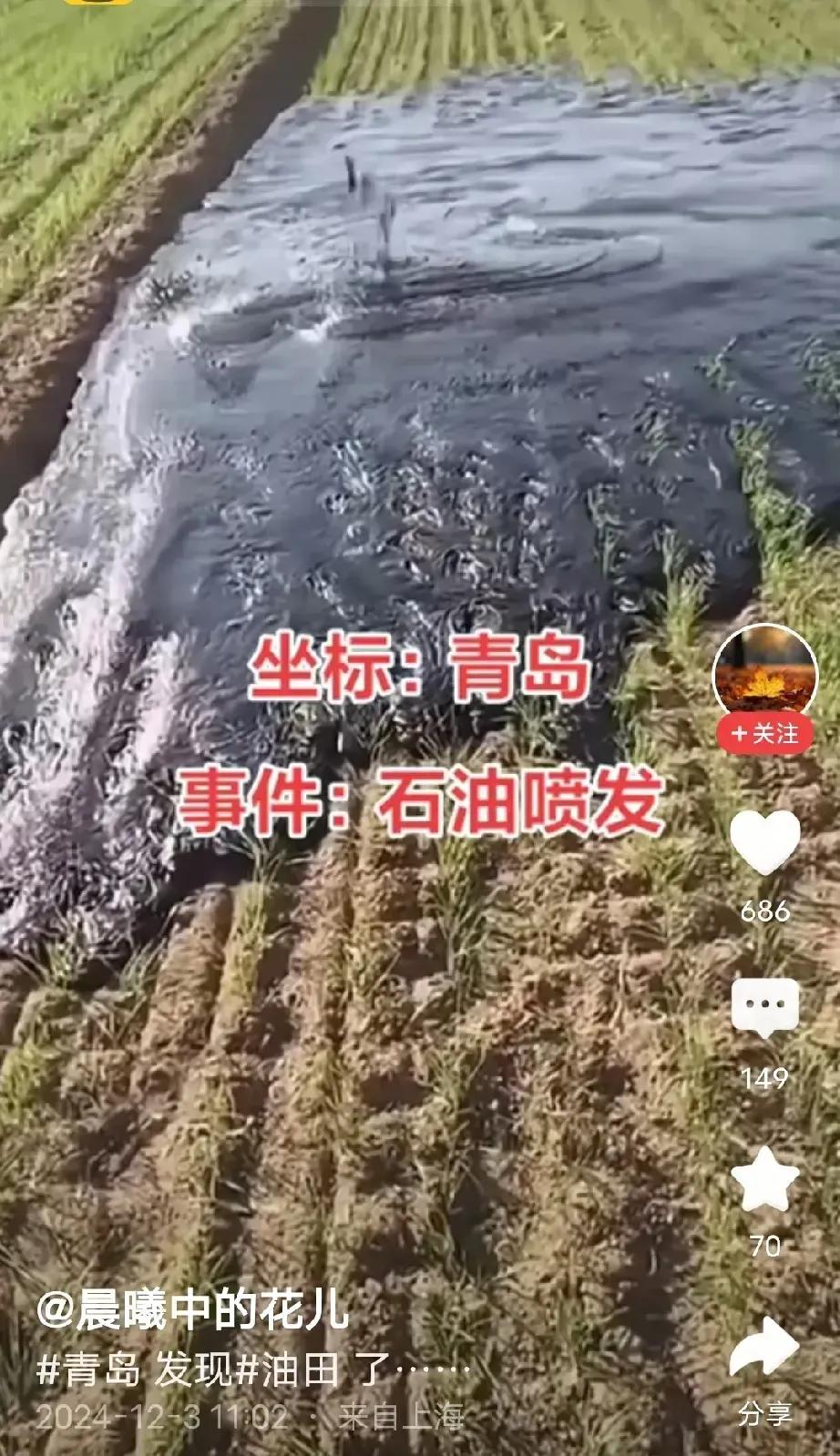 不知道青岛咋样，东营油田上出现这种情况是要赔偿损失的。


这是下面的输油管线破