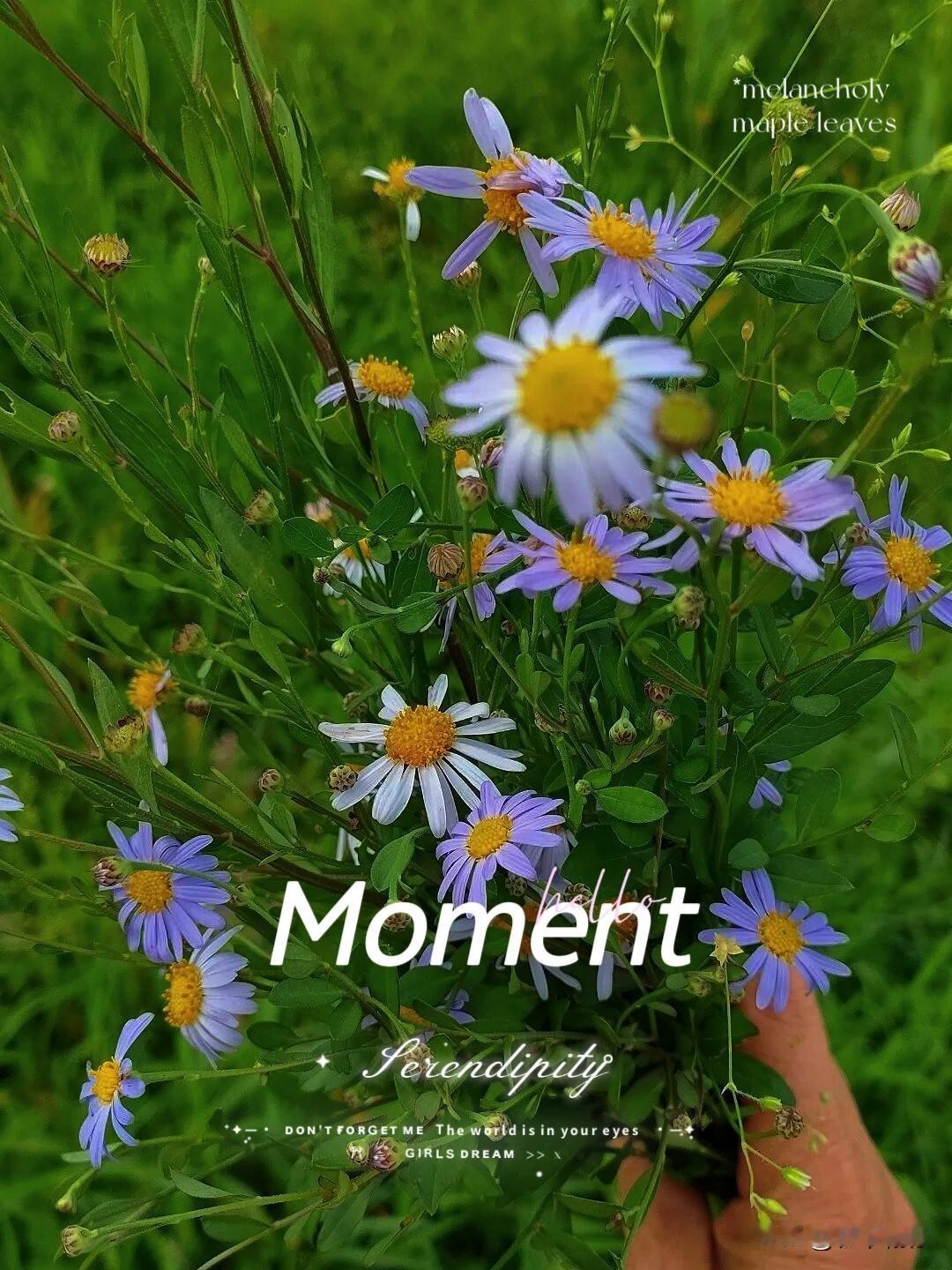 朋友刚跟我说。

这个世界真正的胜利者只有两种人，心情好的和身体好的。

深以为