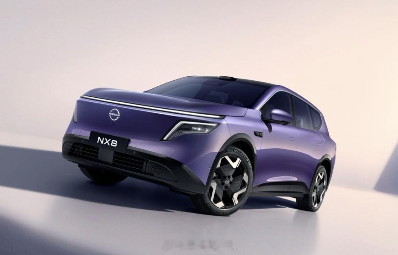 NX8东风日产中大型新能源SUV12月工信部最后一期新车目录，东风日产新能源N序