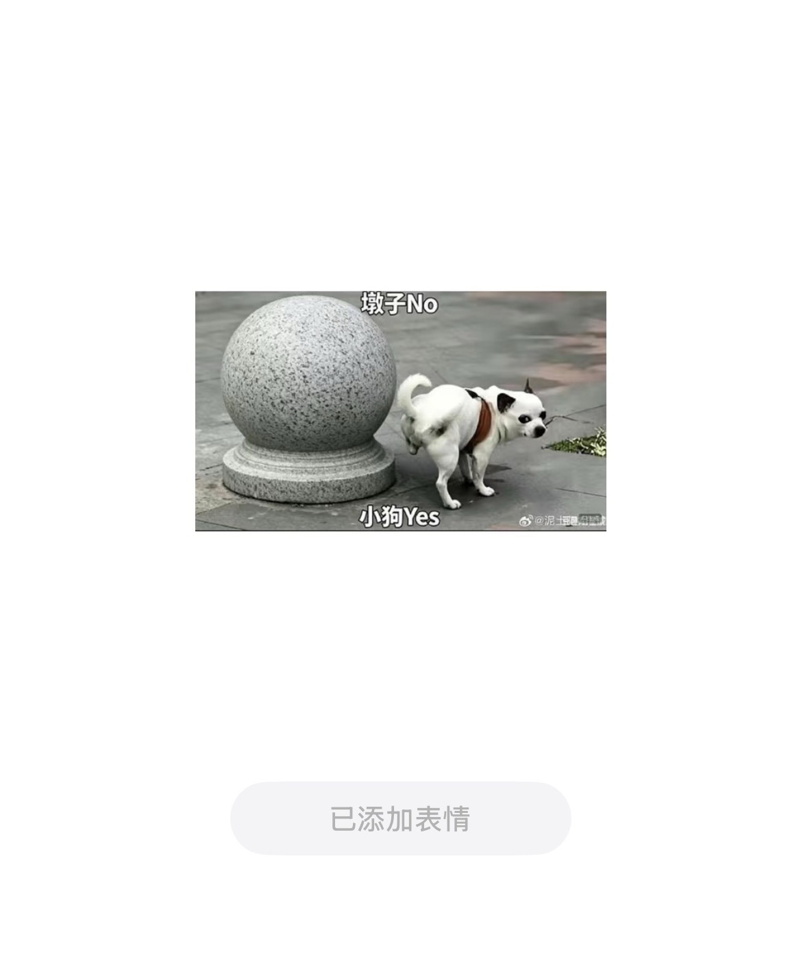 沈月杀青vlog 我来求张原图！哪位宝宝有啊？ 