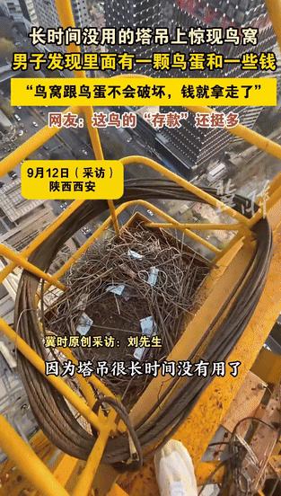 “万万没想到！”陕西，塔吊师傅上班，刚爬上塔吊，就意外发现了一个鸟窝，他本想摧毁