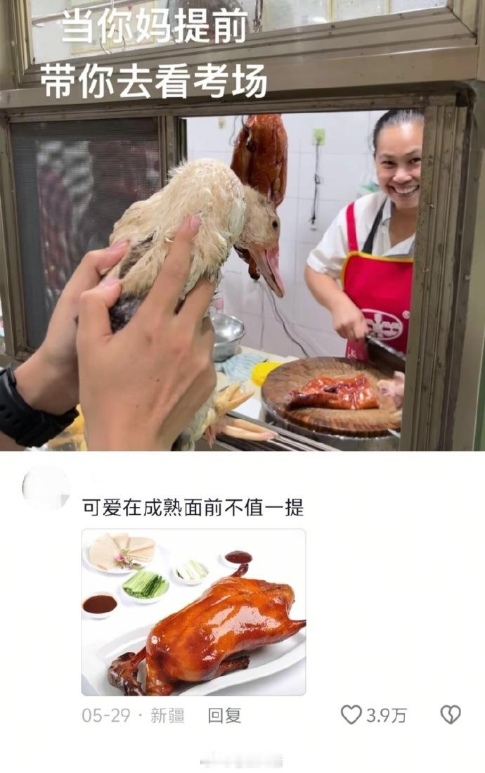 全都对上了！ ​​​
