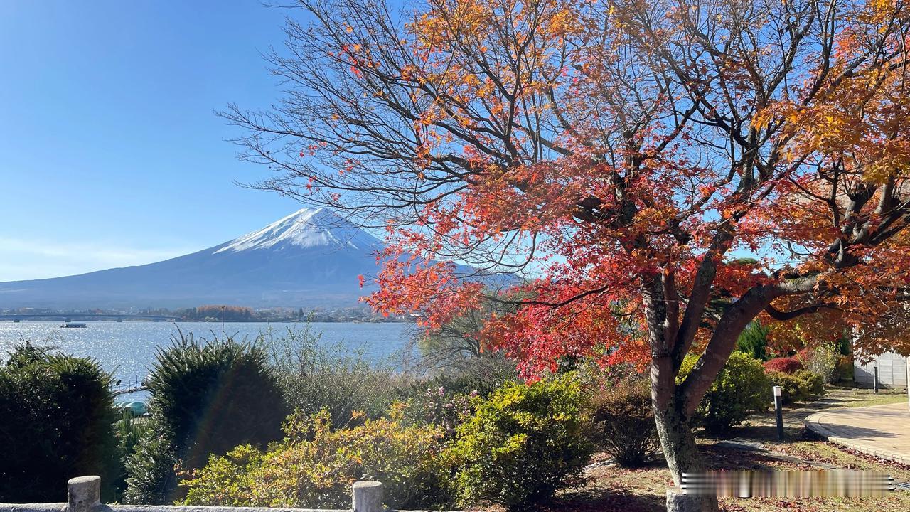 在日本旅游了七天，我发现日本人几乎没有祖孙三代同游的。一般都是夫妻俩自己带着孩子