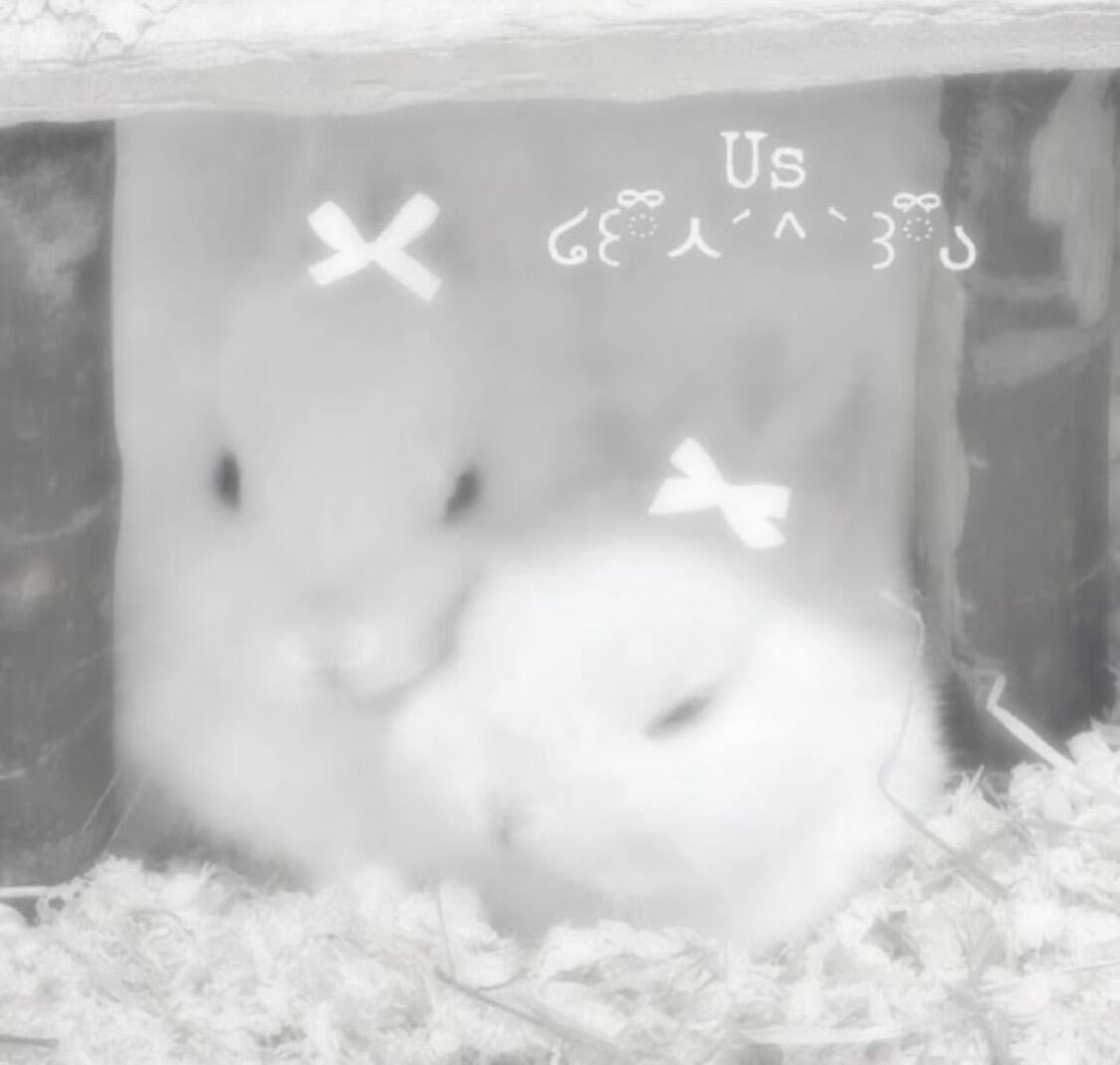 𝐢𝐧𝐞𝐞𝐝𝐮…^ 
