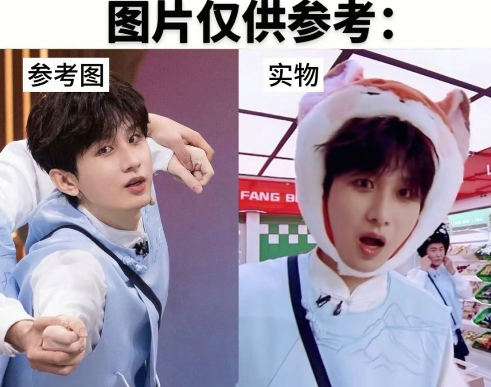 参照物与实物谁家的小萌物