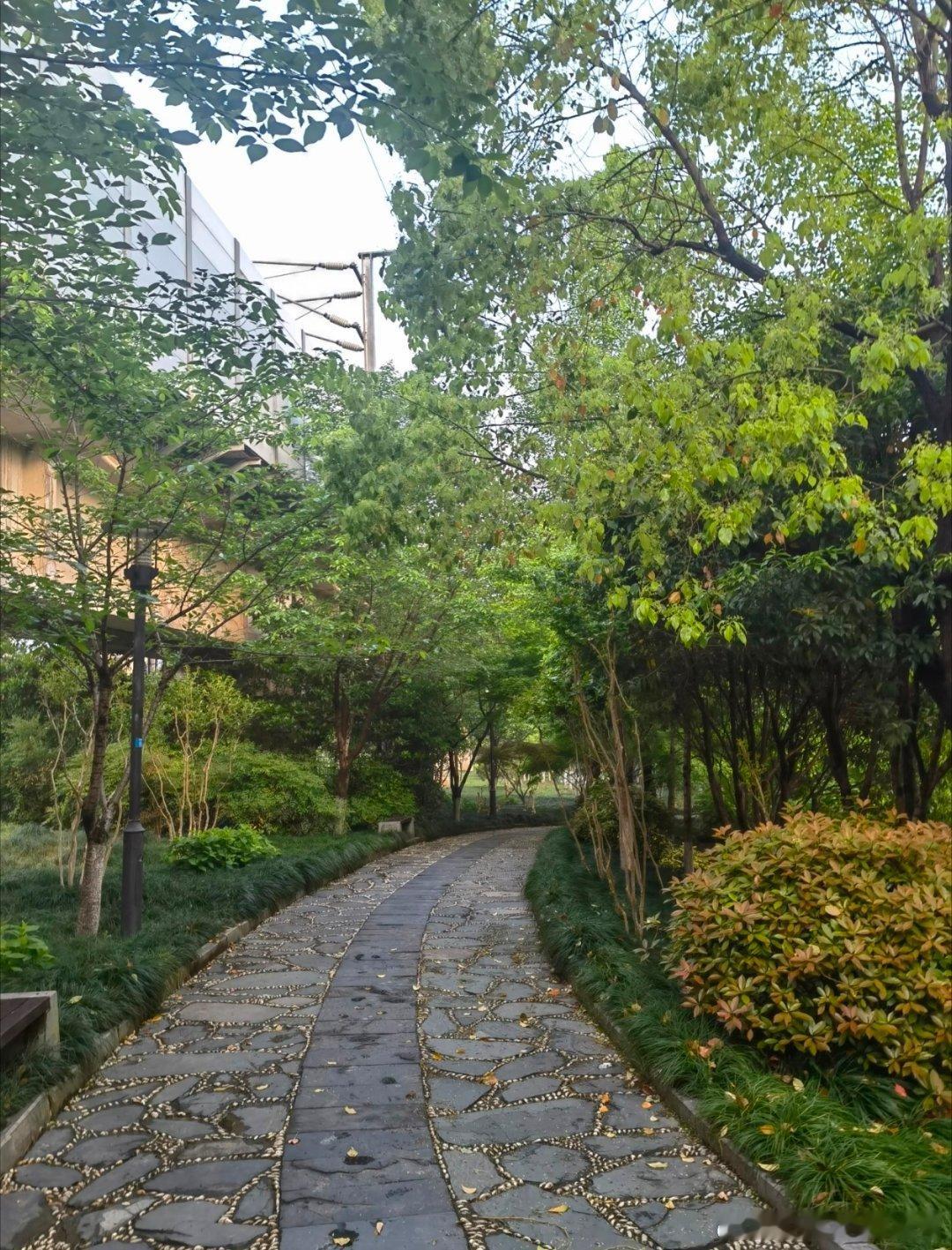 早上好，朋友们黄金黄金金价