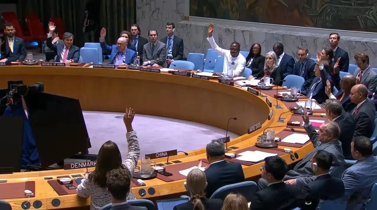 中方罕见表态了！  
2025年11月6日，联合国安理会刚刚通过决议，解除对叙利