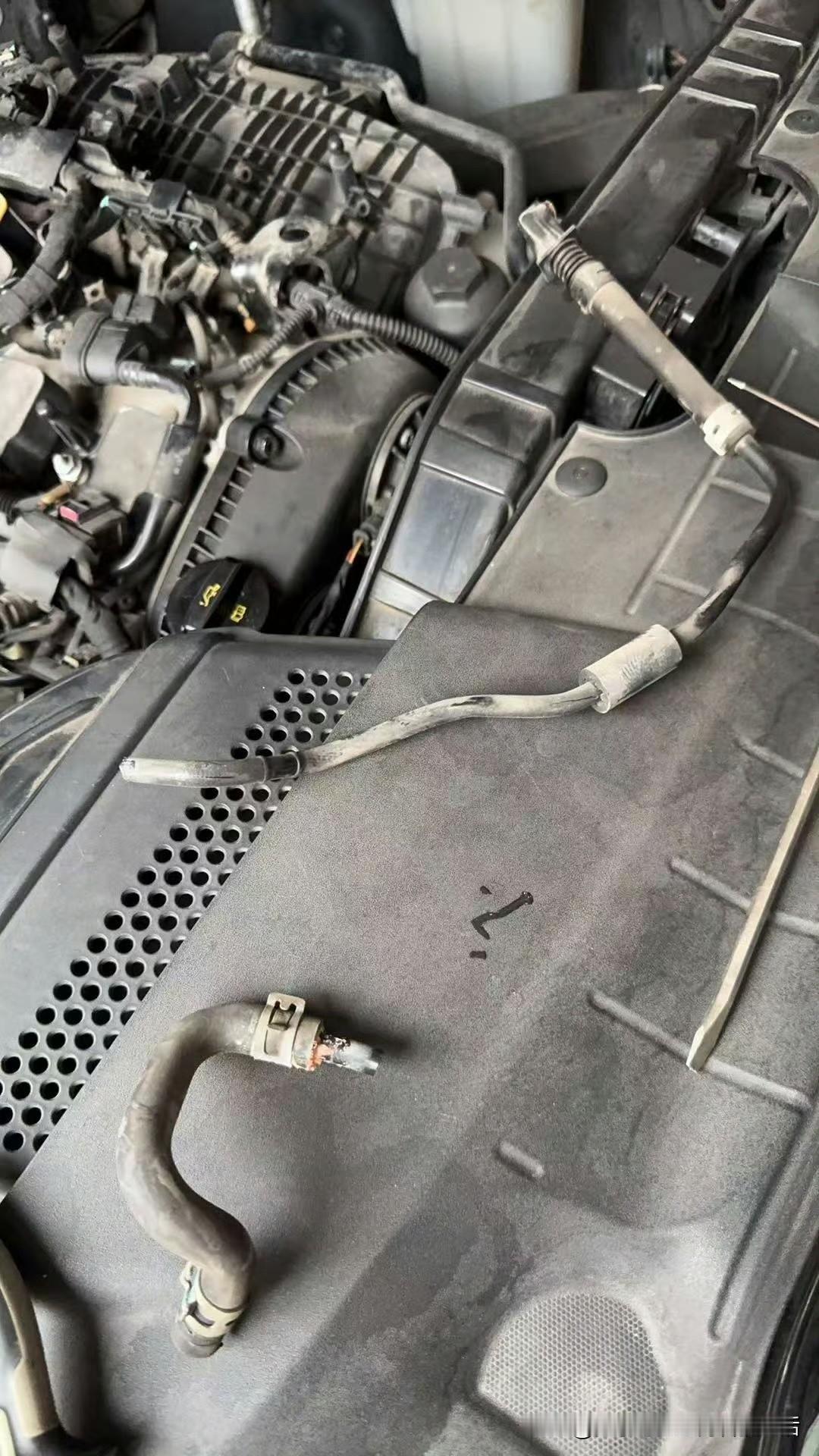 岂止是不能展现技能！！！几乎所有都不建议，好么！你们以为只有炫富炫旅行？nono