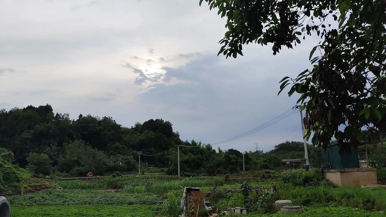 夏日生活打卡季夏日风景欣赏分享一张自然风景的照片