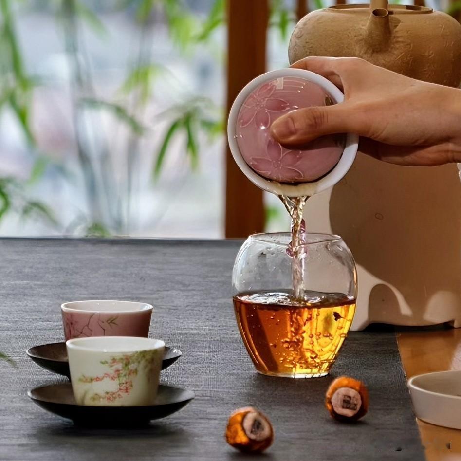 喝普洱茶,究竟看树龄还是看生态?

沸水冲下，蜷曲的叶子慢慢舒展，像打开一册尘封