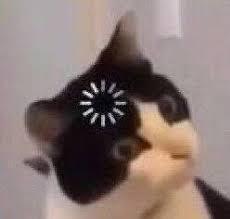 下午脑袋宕机，be like⬇️+猫猫狗狗加载表情包 ​​​