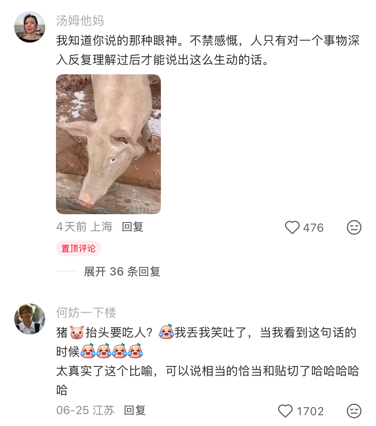 喜欢导师训话的时候跟他对视，给他那种猪抬头要吃人的发怵感…毕业再见一面校园共创计