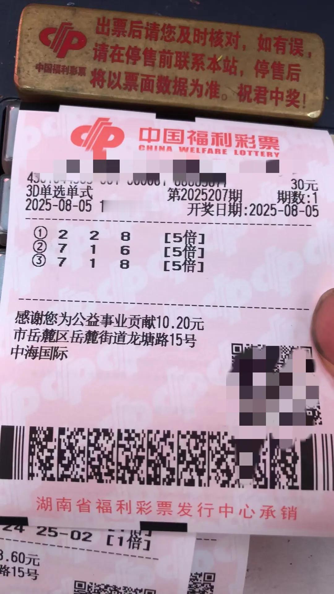 豹子4都出了，还有什么不敢打的？反正打了也中不了，还不如大胆的打！

别说什么合