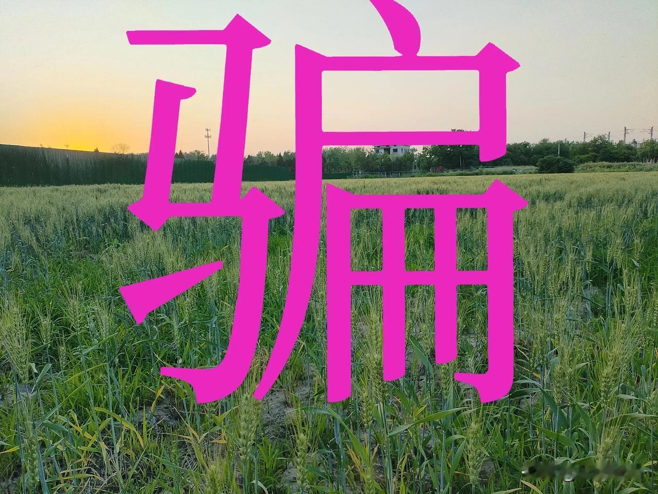 《安溪：从“茶香四溢”到“电诈之乡”的魔幻现实主义之路》

如果给中国电信诈骗史